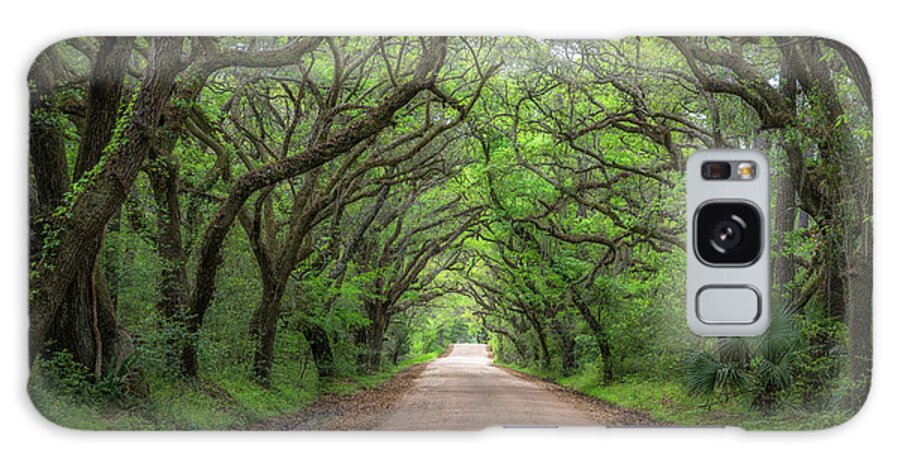 Botany Bay Road Galaxy Case featuring the photograph Botany Bay Road by Michael Ver Sprill
