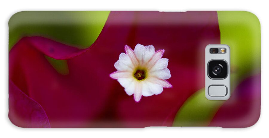 Bougainvillea Galaxy Case featuring the photograph Bougainvillea by Marlo Horne