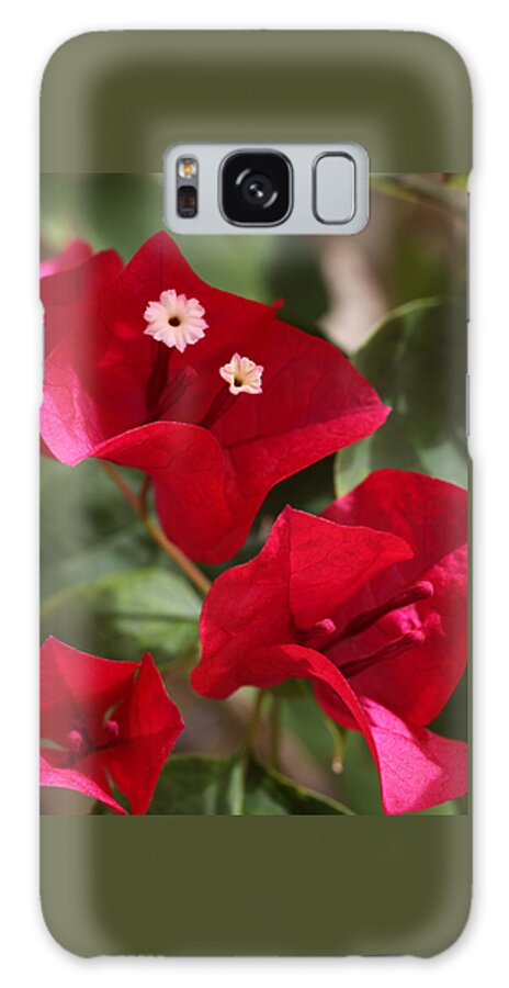 Flower Galaxy Case featuring the photograph Bougainvillea by Tammy Pool