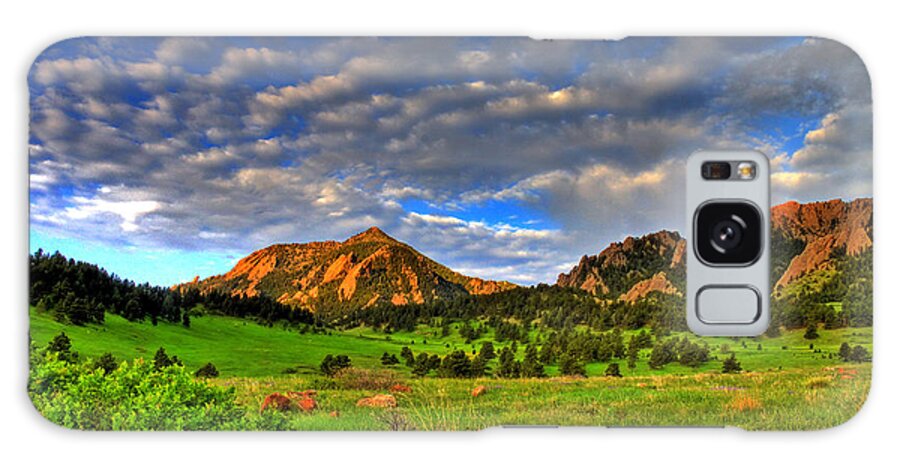 Boulder Galaxy Case featuring the photograph Boulder Spring Wildflowers by Scott Mahon
