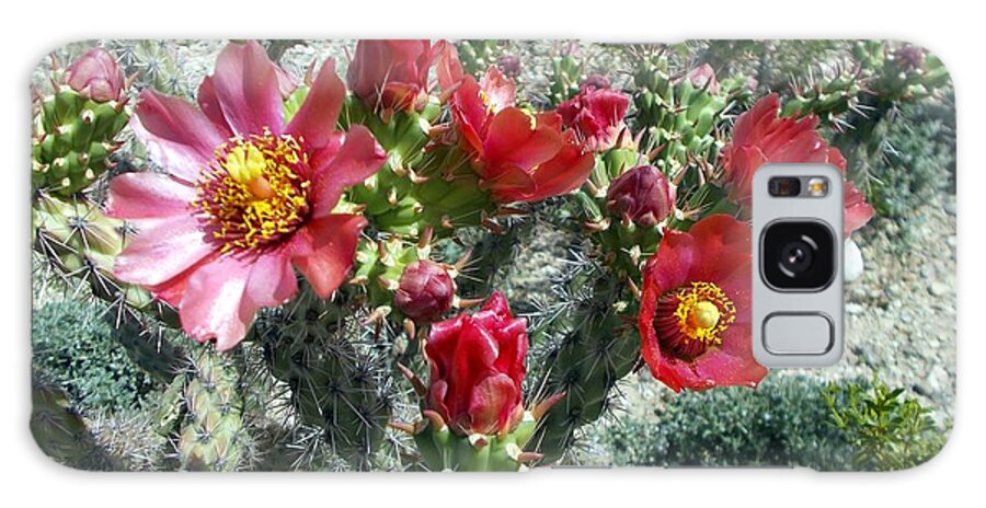 Desert Wildflowers Galaxy Case featuring the photograph Bouquet for Beth by Jerry Bokowski
