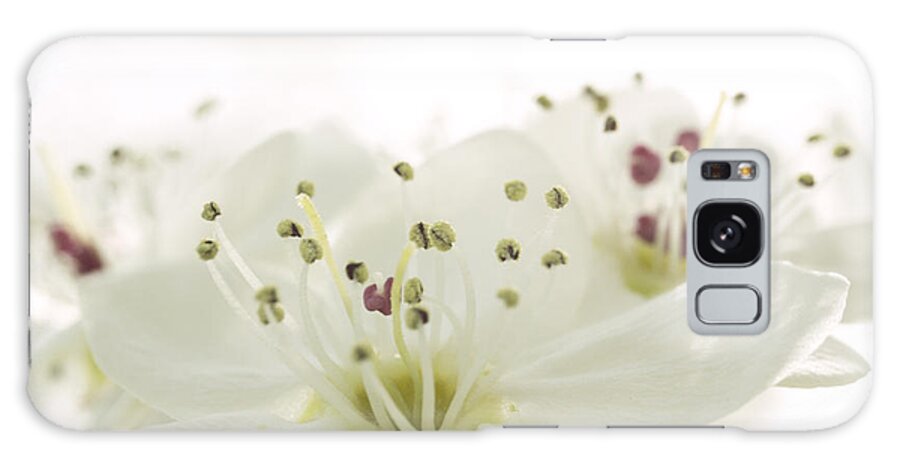White Pear Flower Galaxy Case featuring the photograph Bradford Pear Flower by Iris Richardson