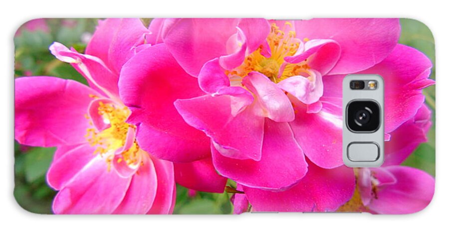 William Baffin Rose Galaxy Case featuring the photograph Brilliant Pink by Susan Lafleur