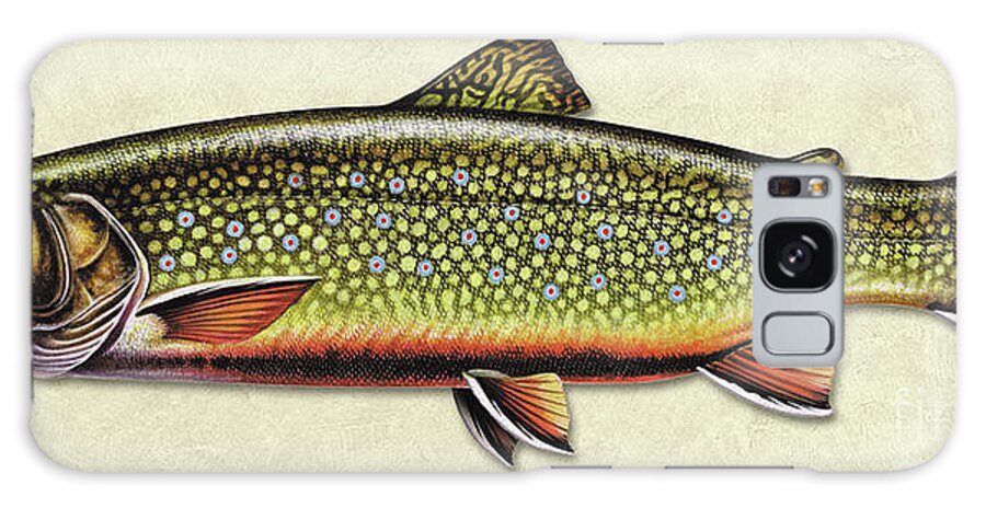 Jon Q Wright Fish Id Print Brook Trout Flyfishing Fly Freshwater Galaxy Case featuring the painting Brook Trout ID by Jon Q Wright