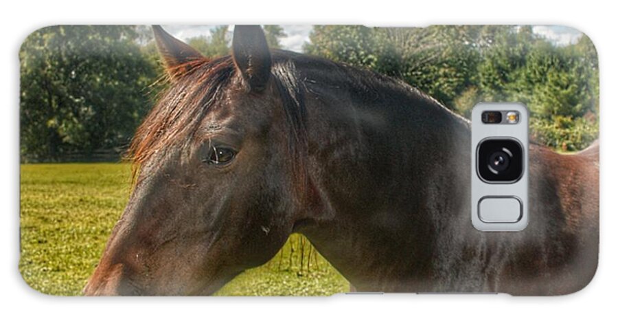 Horse Galaxy S8 Case featuring the photograph 1001 - Brown Beauty I by Sheryl L Sutter