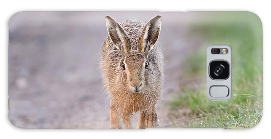 Brown Galaxy Case featuring the photograph Brown Hare Approaching Down Track by Pete Walkden