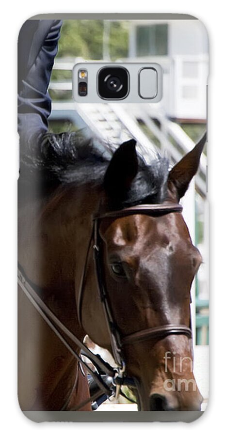 Horses Galaxy Case featuring the photograph Brown Hunter Jumper by Waterdancer 