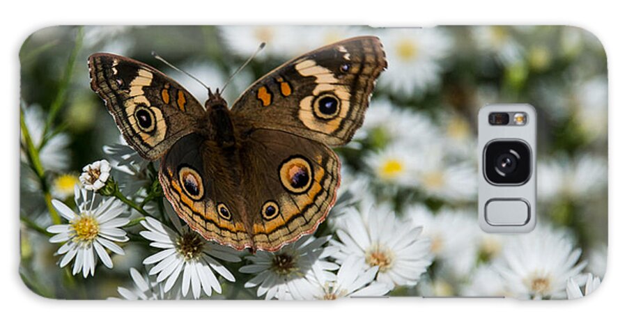 Buckeye Galaxy Case featuring the photograph Buckeye Butterfly on Heath Aster by Mick Anderson