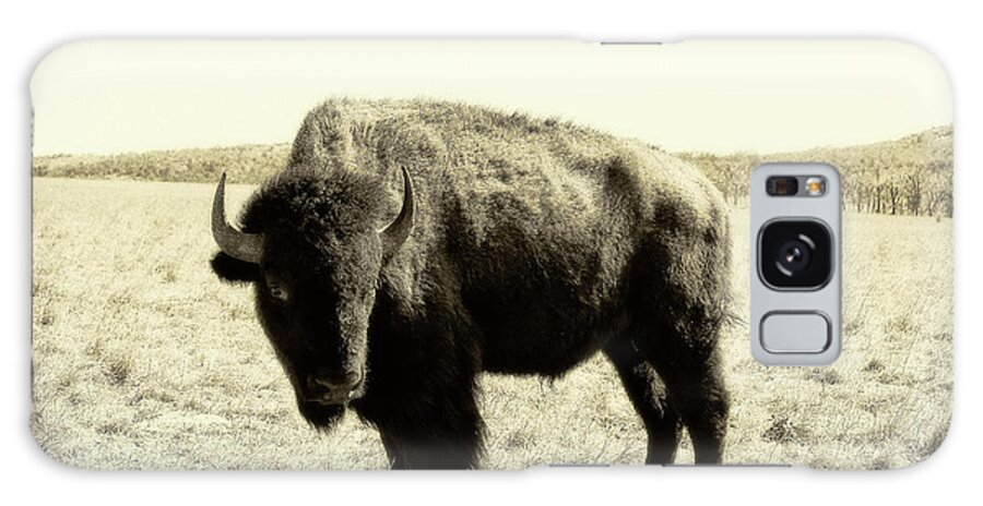 Bison Galaxy Case featuring the photograph Buffalo in Sepia by Tony Grider