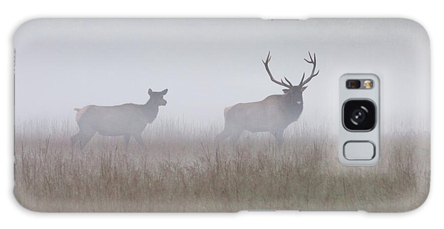 Elk Galaxy S8 Case featuring the photograph Bull and Cow Elk in Fog - September 30 2016 by D K Wall