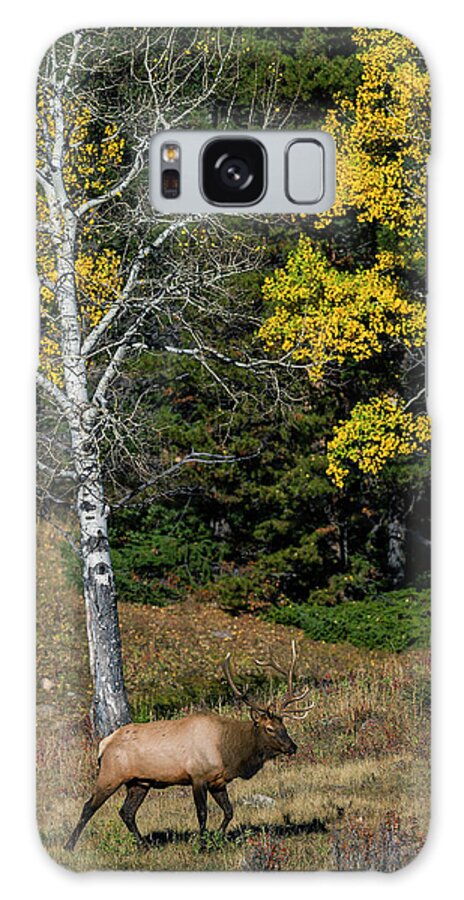 Bull Elk Galaxy Case featuring the photograph Bull Elk and Fall Colors by Gary Langley