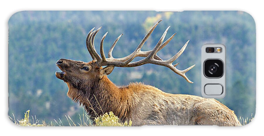 Bugle Galaxy S8 Case featuring the photograph Bull Elk Bugling by Wesley Aston