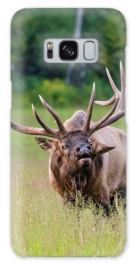Animal Galaxy Case featuring the photograph Bull Elk Defends His Harem by Kelly VanDellen