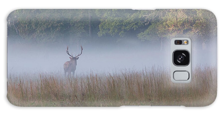 Elk Galaxy Case featuring the photograph Bull Elk Disappearing in Fog - September 30 2016 by D K Wall