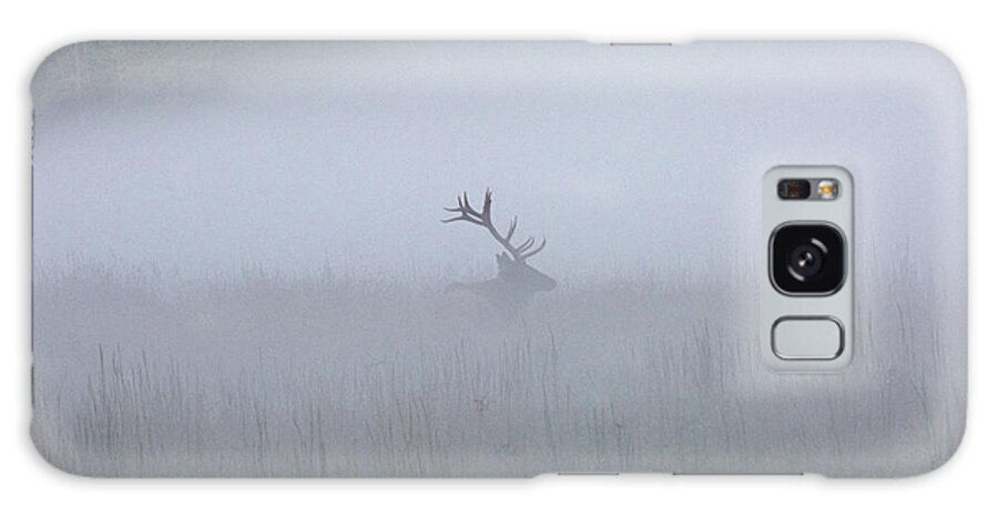 Elk Galaxy Case featuring the photograph Bull Elk in Fog - September 30, 2016 by D K Wall