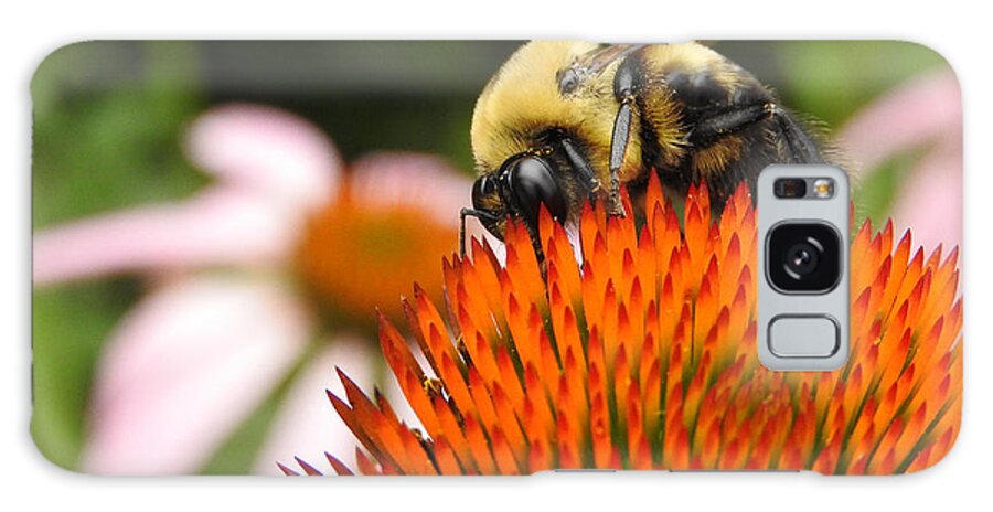 Bee Galaxy Case featuring the photograph BUMBLE BEE AT WORK No. 1022 by Janice Adomeit