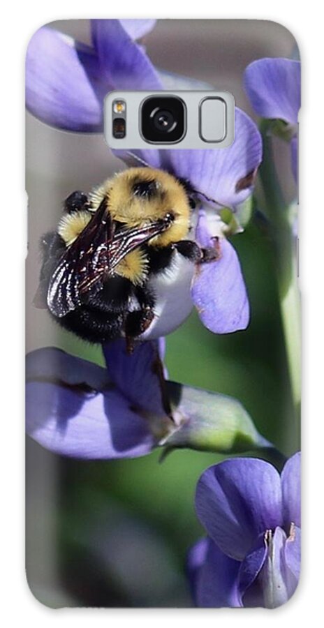Bumble Bee Galaxy Case featuring the photograph Bumble Bee, Blue Indigo by Sarah Lilja