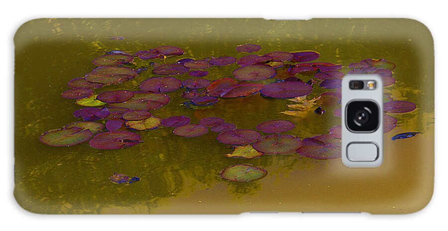 Burgundy Lily Pads Galaxy Case featuring the photograph Burgundy Lily Pads, copper water by David Frederick