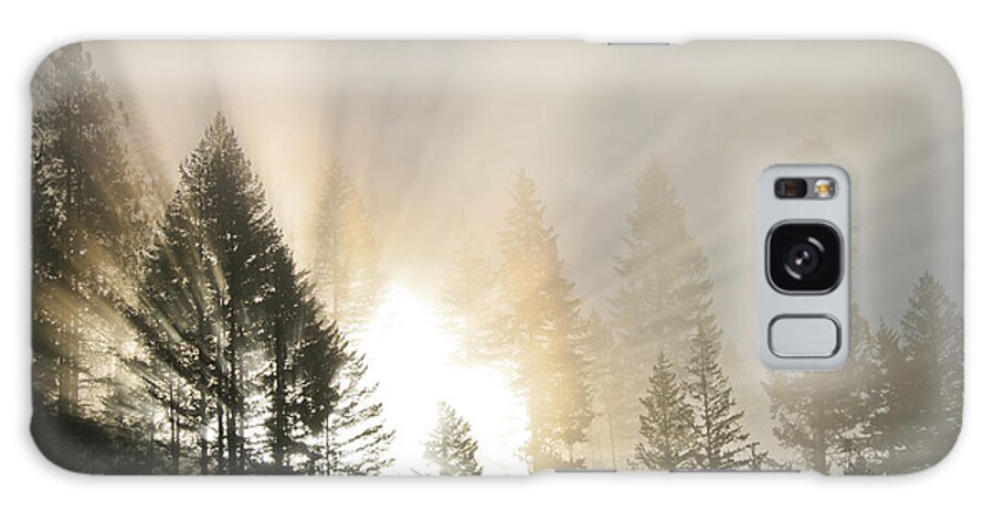 Fog Galaxy Case featuring the photograph Burning through the Fog by Albert Seger