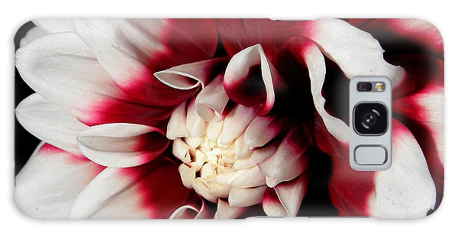 Red Galaxy Case featuring the photograph Bursts Of Reds And White by Kim Galluzzo