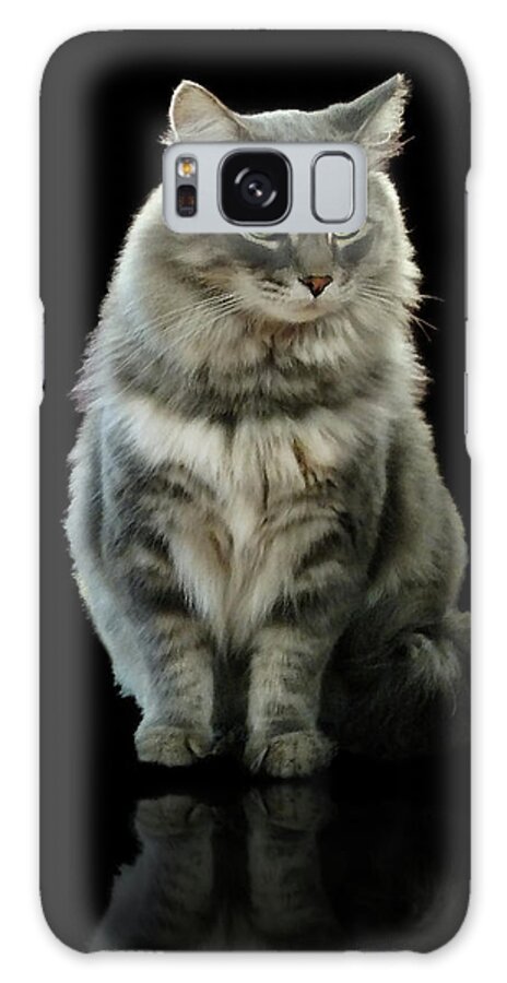 Cat Galaxy S8 Case featuring the photograph Bustopher Jones by Aleksander Rotner