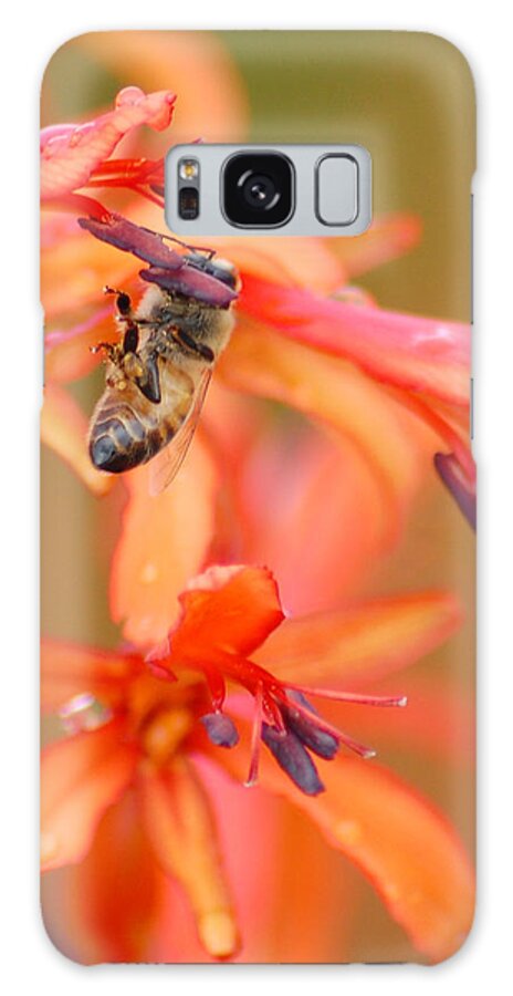 Bee Galaxy Case featuring the photograph Busy Bee by Amy Fose