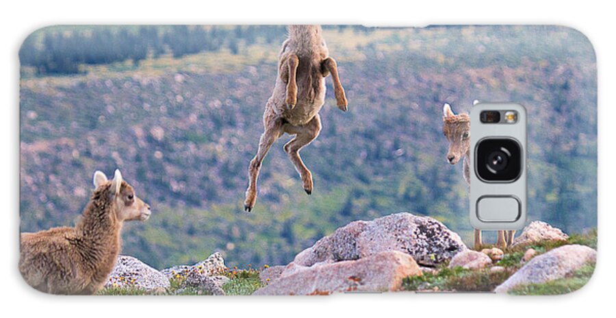 Bighorn Sheep Galaxy Case featuring the photograph But Can You Do This by Jim Garrison