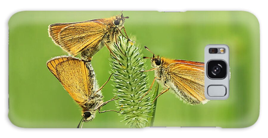 Delaware Galaxy Case featuring the photograph Butterflies by Mircea Costina Photography