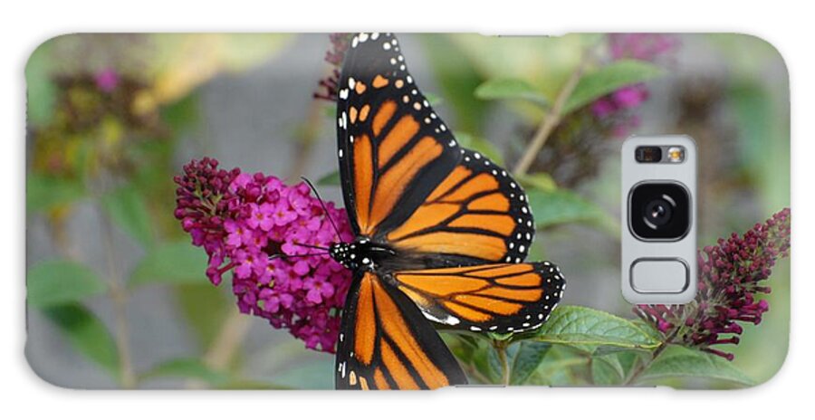 Monarch Butterfly Galaxy Case featuring the photograph Butterfly 164 by Joyce StJames