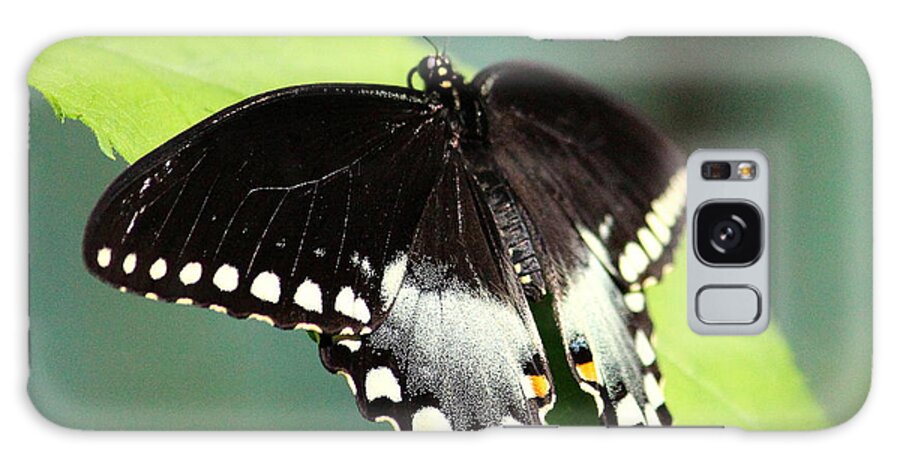 Butterfly Galaxy Case featuring the photograph Butterfly 4 by John Olson