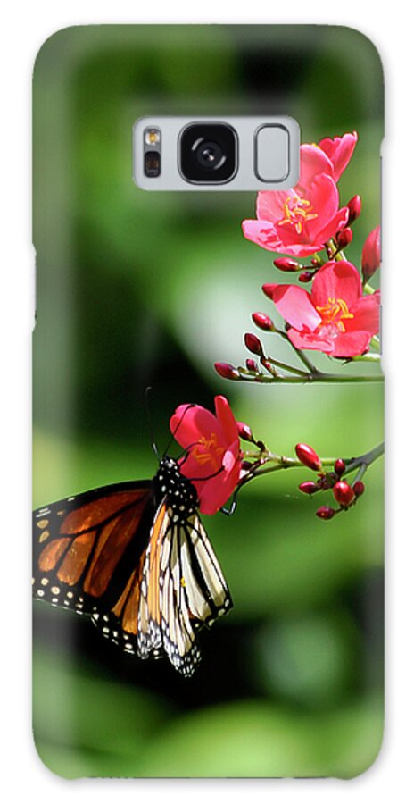 Hawaii Galaxy Case featuring the photograph Butterfly and blossom by Dan McManus