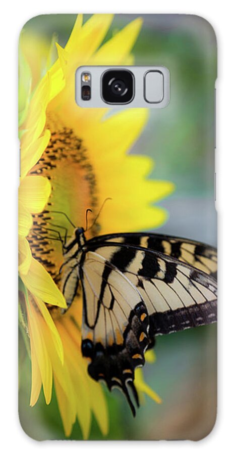 Swallowtail Butterflies Galaxy Case featuring the photograph Butterfly Mornings by Karen Wiles