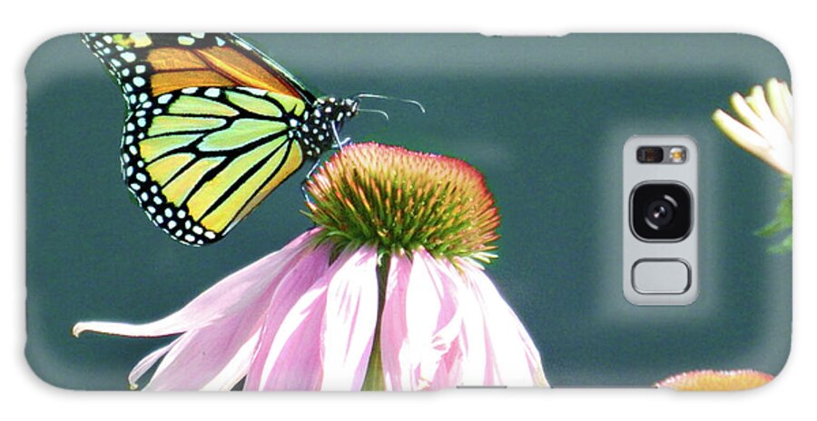 Butterfly Galaxy Case featuring the photograph Butterfly by Raymond Earley