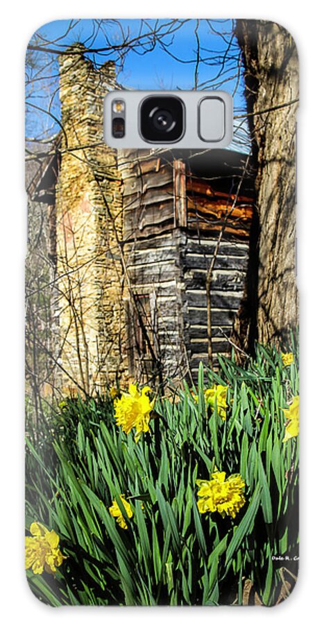 Cabin Galaxy S8 Case featuring the photograph Cabin Spring by Dale R Carlson