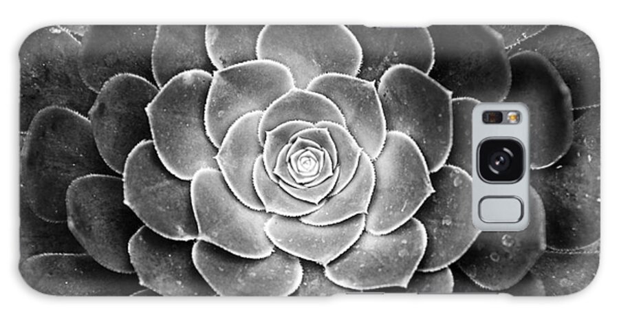 Cactus Galaxy S8 Case featuring the photograph Cactus 18 Deep BW by Cassie Marie Photography