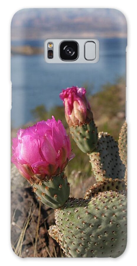 Cactus Galaxy Case featuring the photograph Cactus Flower by Jeff Floyd CA