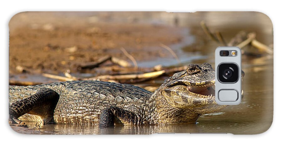 Caiman Galaxy S8 Case featuring the photograph Caiman with Open Mouth by Aivar Mikko