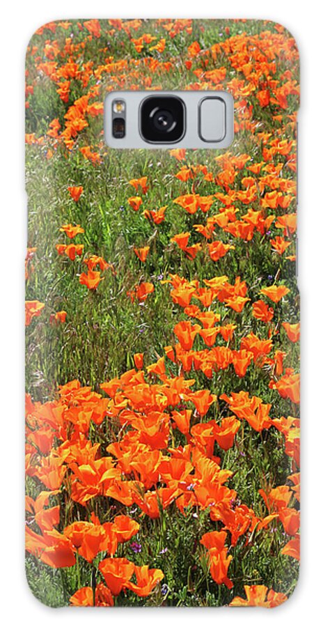 Poppies Galaxy Case featuring the mixed media California Poppies- Art by Linda Woods by Linda Woods