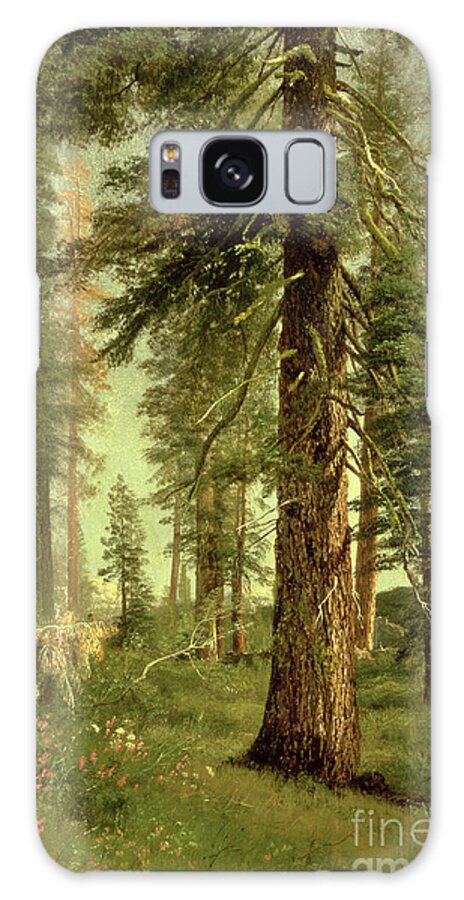California Galaxy Case featuring the painting California Redwoods by Albert Bierstadt