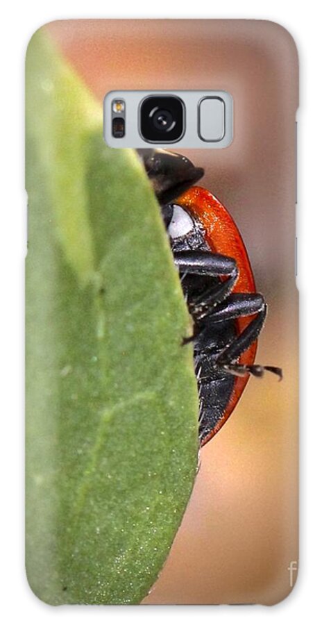 Ladybug Galaxy Case featuring the photograph Camara shy by Elisabeth Derichs