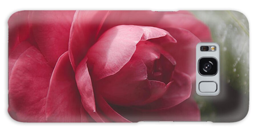 Closeup Galaxy Case featuring the photograph Camellia by Andrea Anderegg