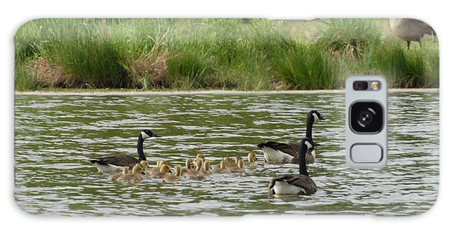 Canada Geese Photographs Galaxy Case featuring the photograph Canada Geese 351 by Joyce StJames