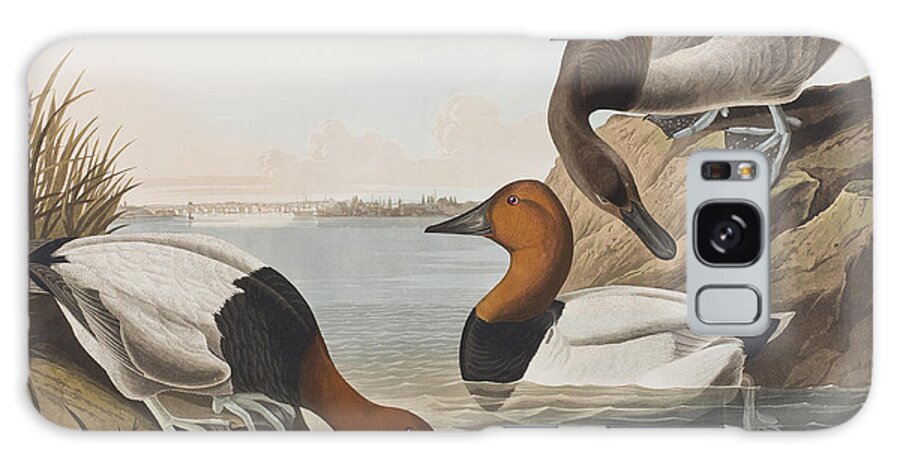 Audubon Galaxy Case featuring the painting Canvas backed Duck by John James Audubon