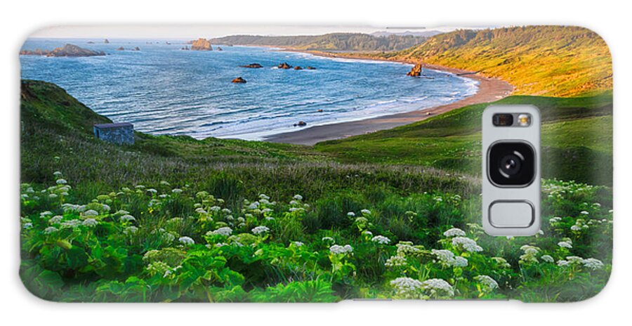 Scenic Galaxy Case featuring the photograph Cape Blanco Oregon Sunset by Roberta Kayne