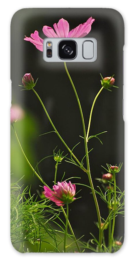 Flowers Galaxy S8 Case featuring the photograph Care Free by Donna Shahan