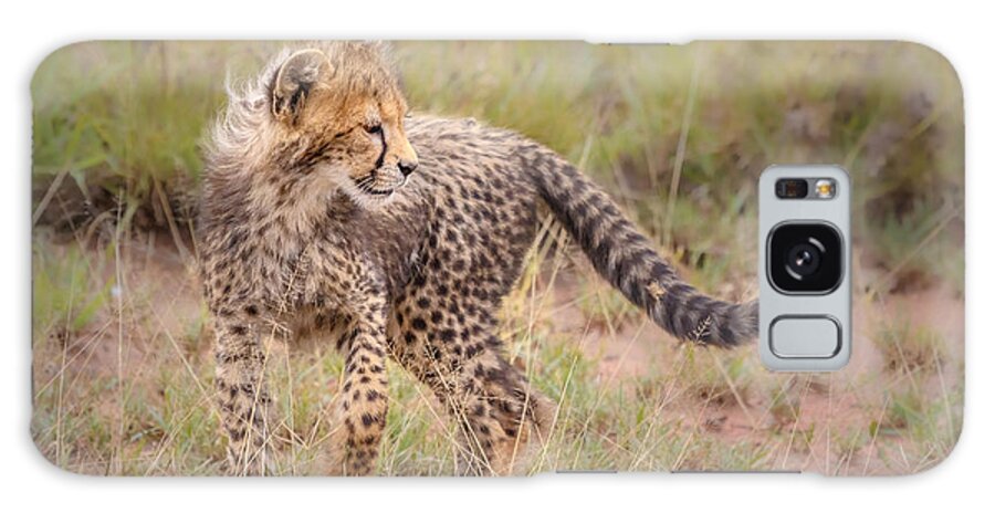 Acinonyx Jubatus Galaxy Case featuring the photograph Carefree Cheetah Cub by Sylvia J Zarco