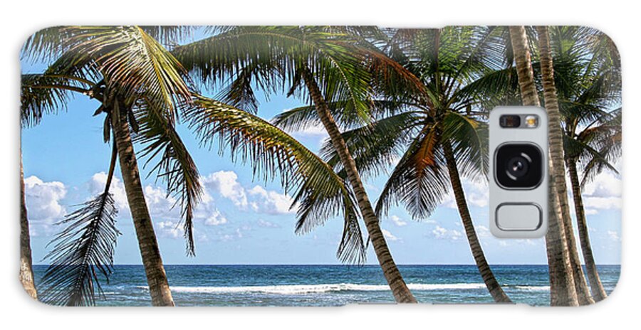 Palms Island Palm Tree Trees Beach Sea Ocean Vacation Travel Sand Salt Galaxy Case featuring the photograph Caribbean Palms by Robert Och