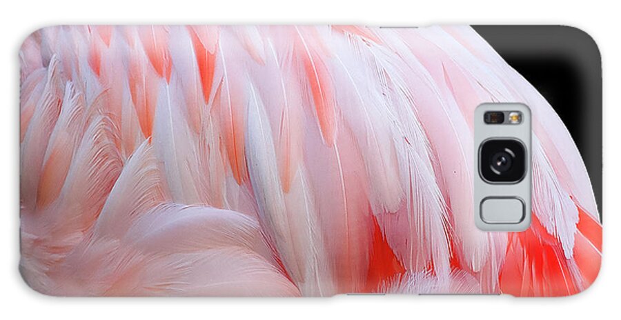 Feathers Galaxy Case featuring the photograph Cascading feathers by Elvira Butler