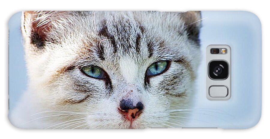 Pet Galaxy Case featuring the photograph Cat portrait I by Paulo Goncalves