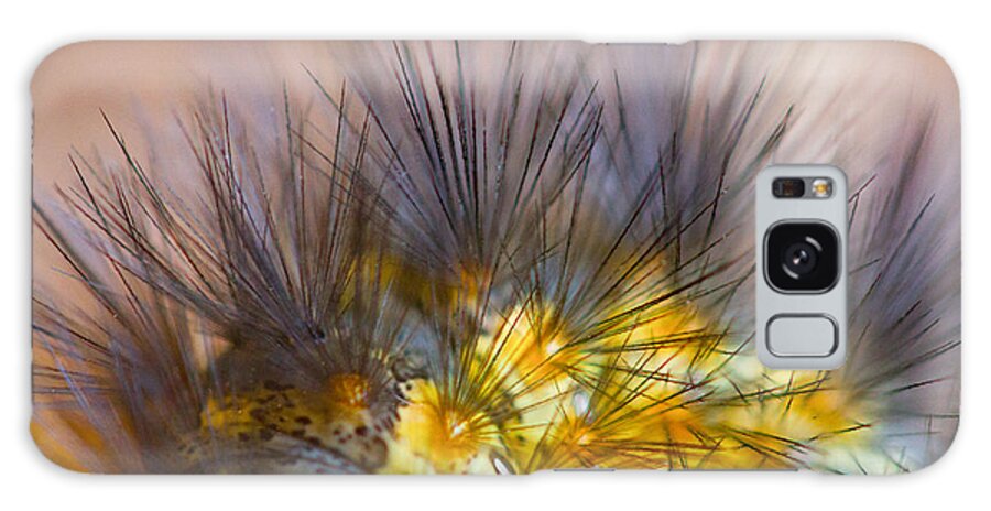 Bug Galaxy Case featuring the photograph Caterpillar Hair by SR Green